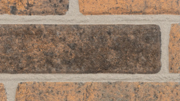 11300-600x338