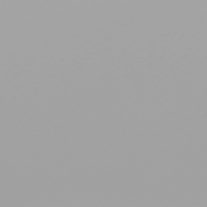 11310-300x300