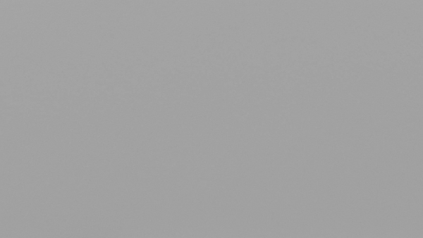 11310-600x338