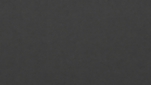 11312-600x338