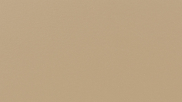 11314-600x338
