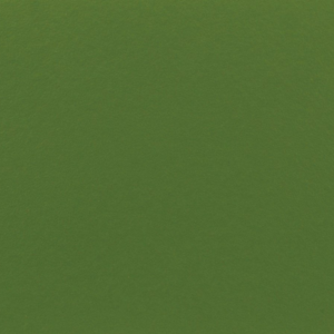 11316-300x300