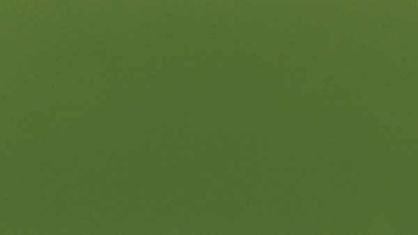 11316-600x338