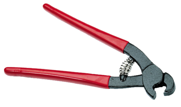 PN-1-600x356